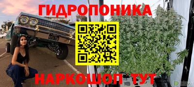 стафф Пенза