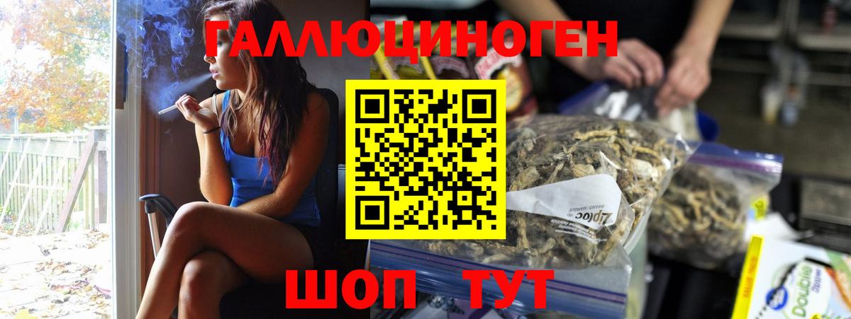 Санкт-Петербург  Псилоцибиновые грибы Psilocybine cubensis  Вход с VPN 